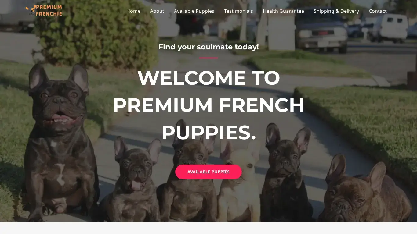 is premium frenchie puppies – Premium frenchie legit? screenshot