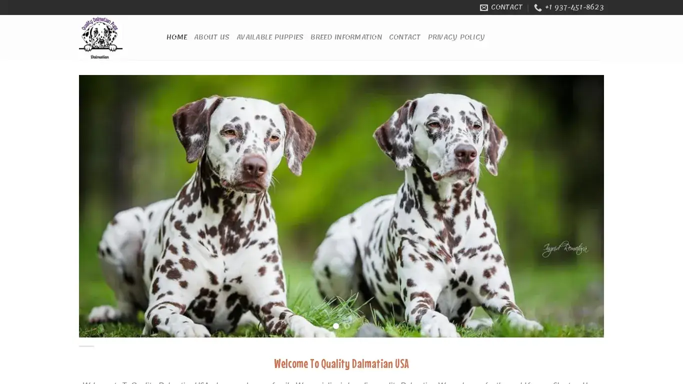 is Home - Quality Dalmatian Pups legit? screenshot