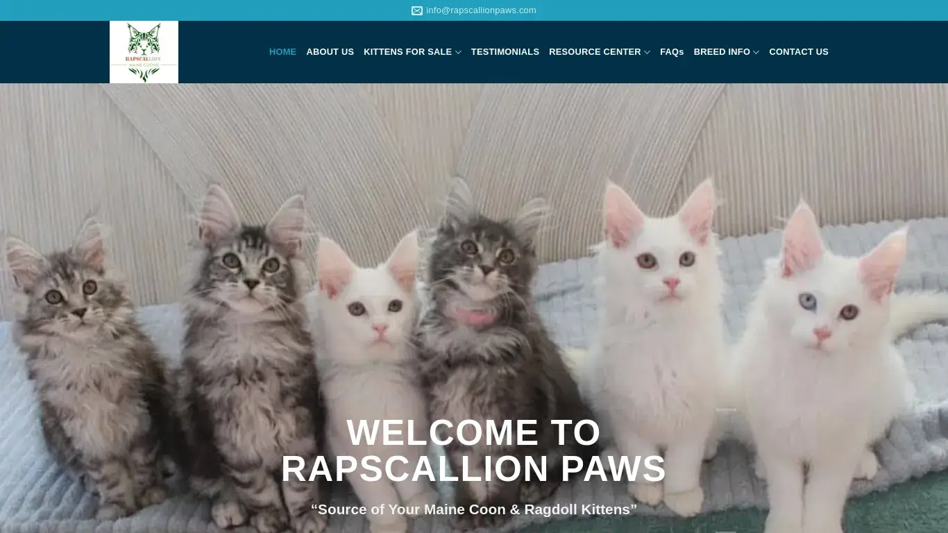 is Rapscallion Paws – Maine coon and Ragdoll kittens for sale legit? screenshot