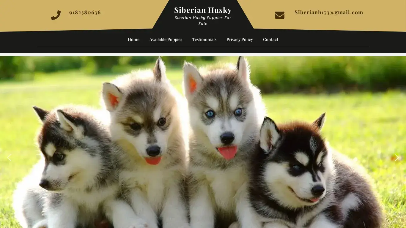is Siberian Husky – Siberian Husky Puppies For Sale legit? screenshot