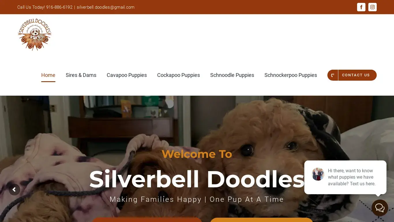 is Home - Silverbell Doodles legit? screenshot