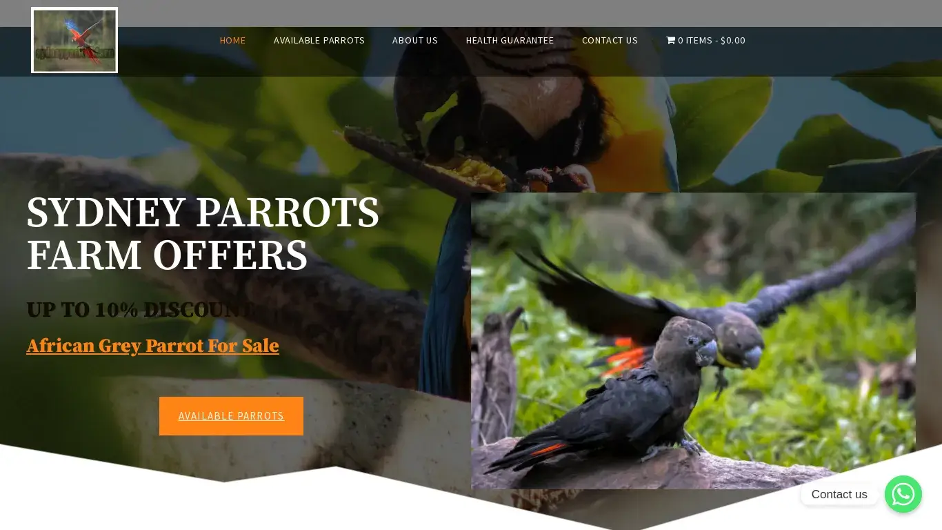 is African Grey Parrot For Sale | Sydney Parrots Farm legit? screenshot