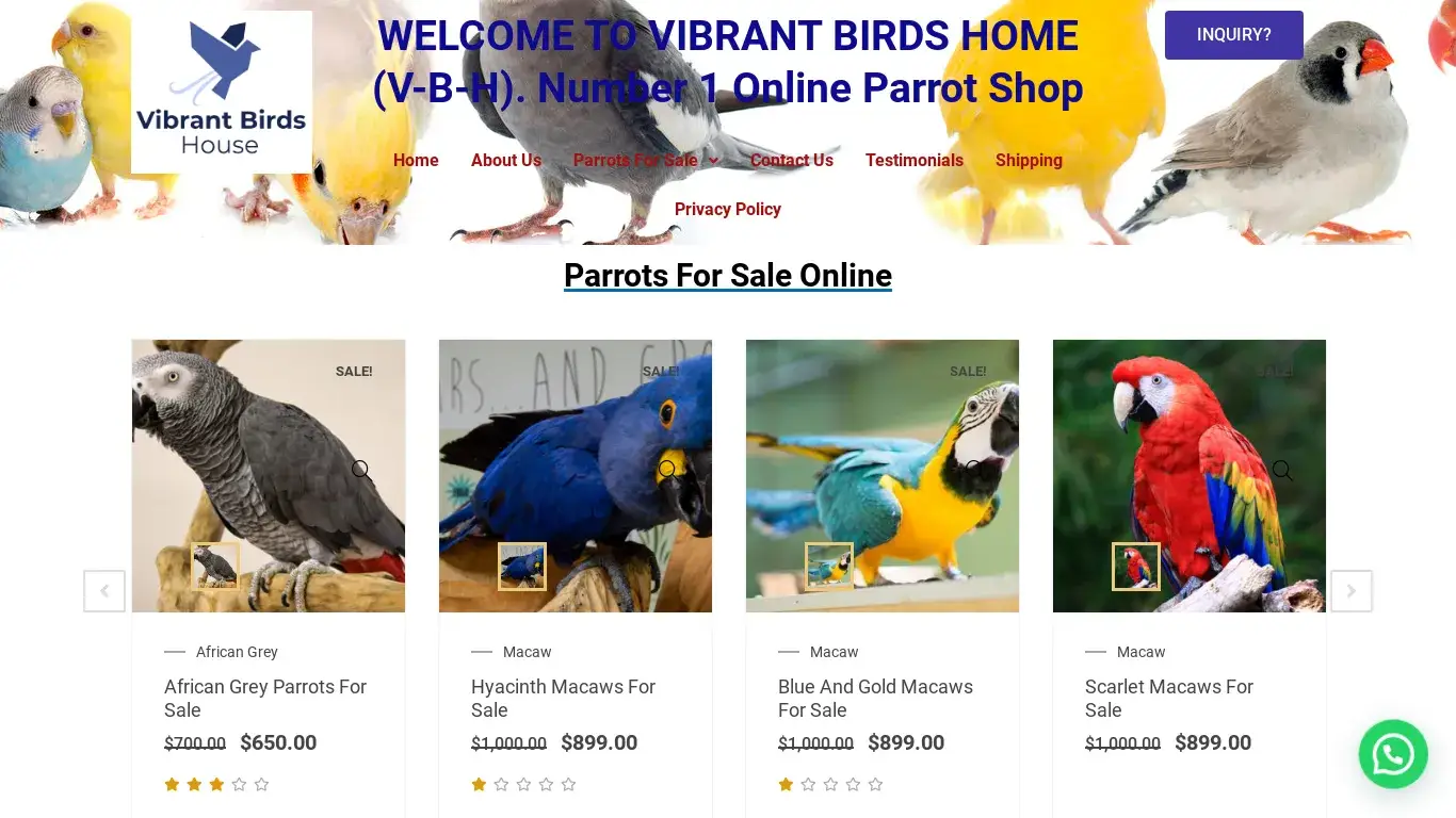 is Vibrant Birds House | Best Parrots For Sale Online Shop Home legit? screenshot