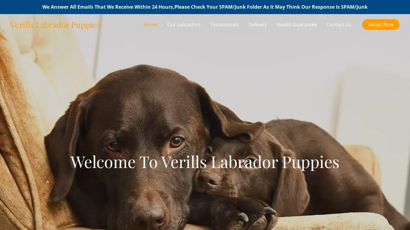 is Verills Labrador Puppies – Purebred Labradors For Sale legit? screenshot