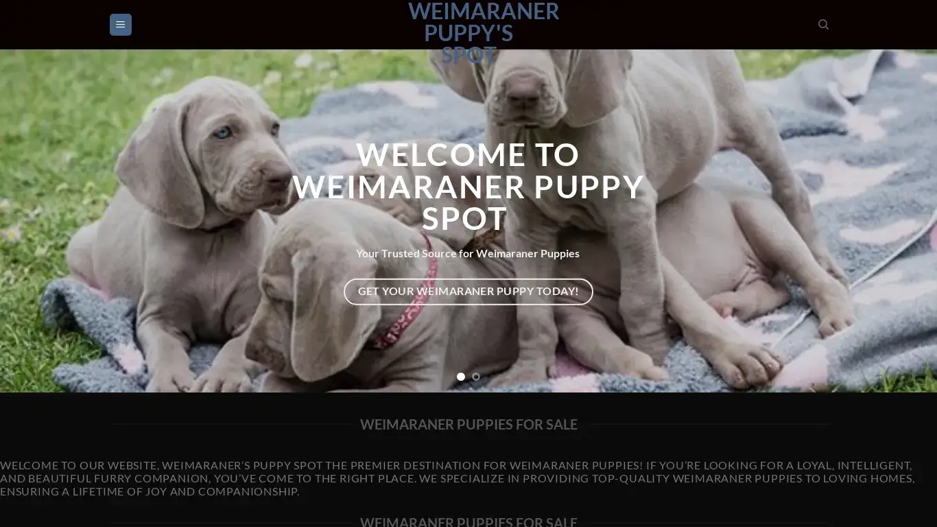 is Weimaraner Puppy's Spot – Weimaraner Puppies For Sale legit? screenshot