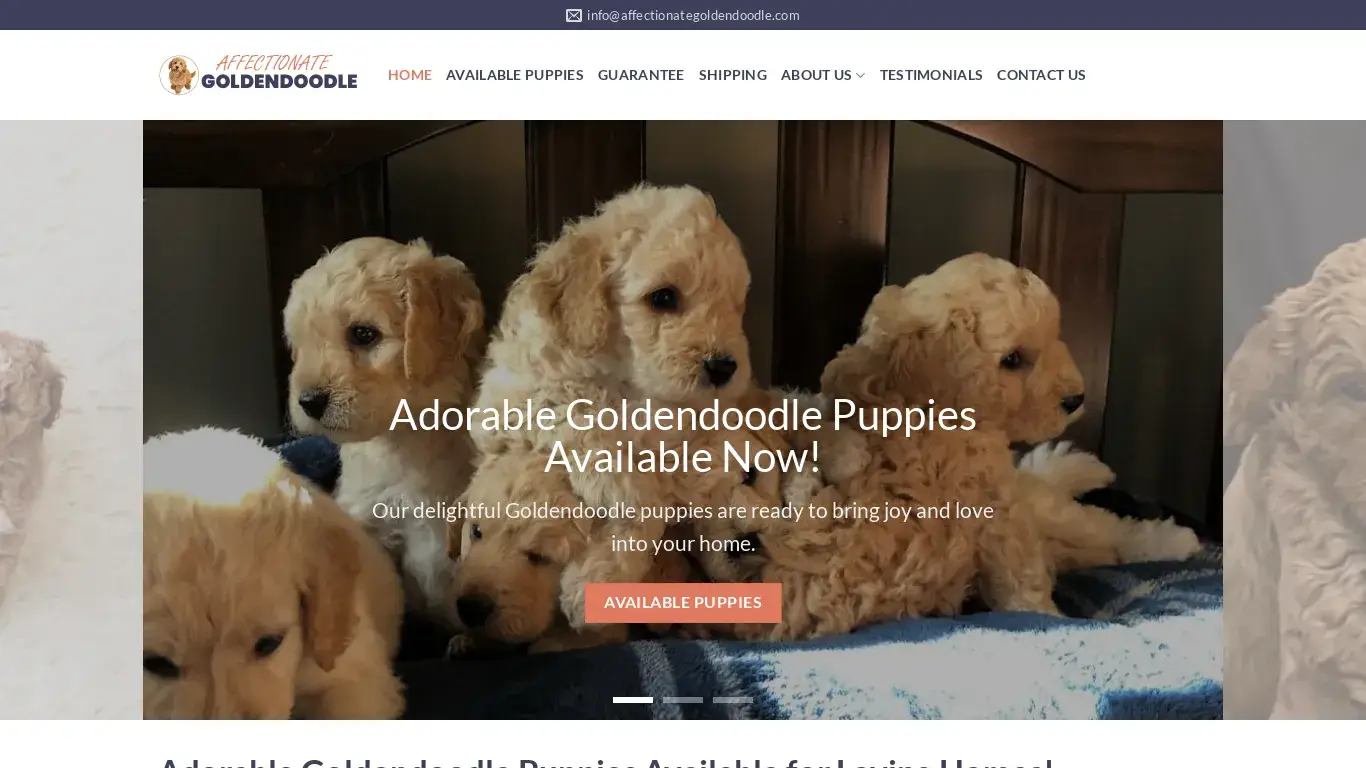 is Affectionate Goldendoodle – Goldendoodle puppies for sale legit? screenshot