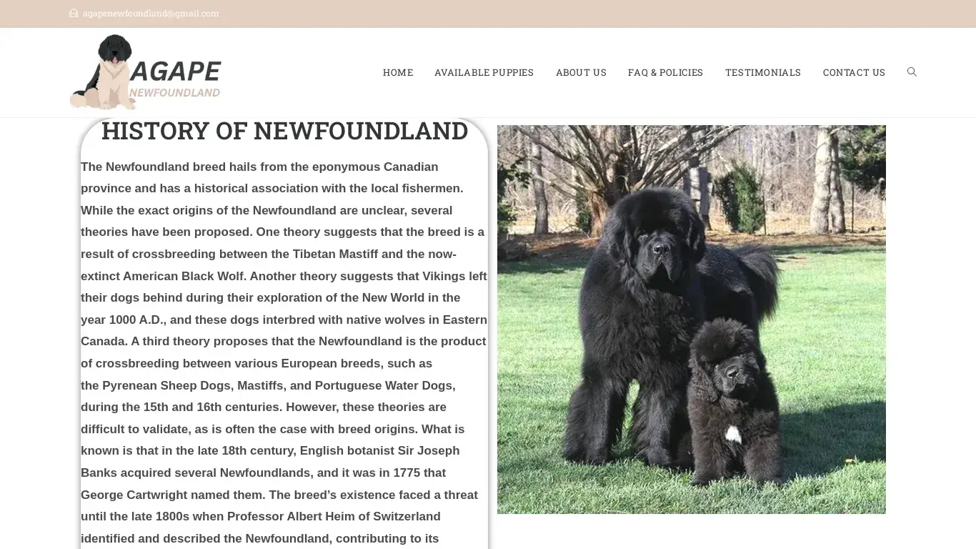 is Agape Newfoundland – Licensed Newfoundland Breeders legit? screenshot