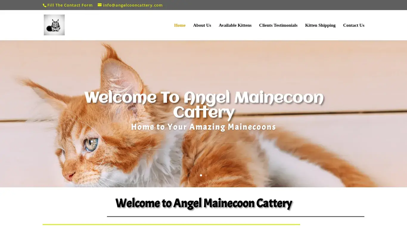 is Welcome to Angel Mainecoon Cattery | Home to your Amazing Mainecoons legit? screenshot