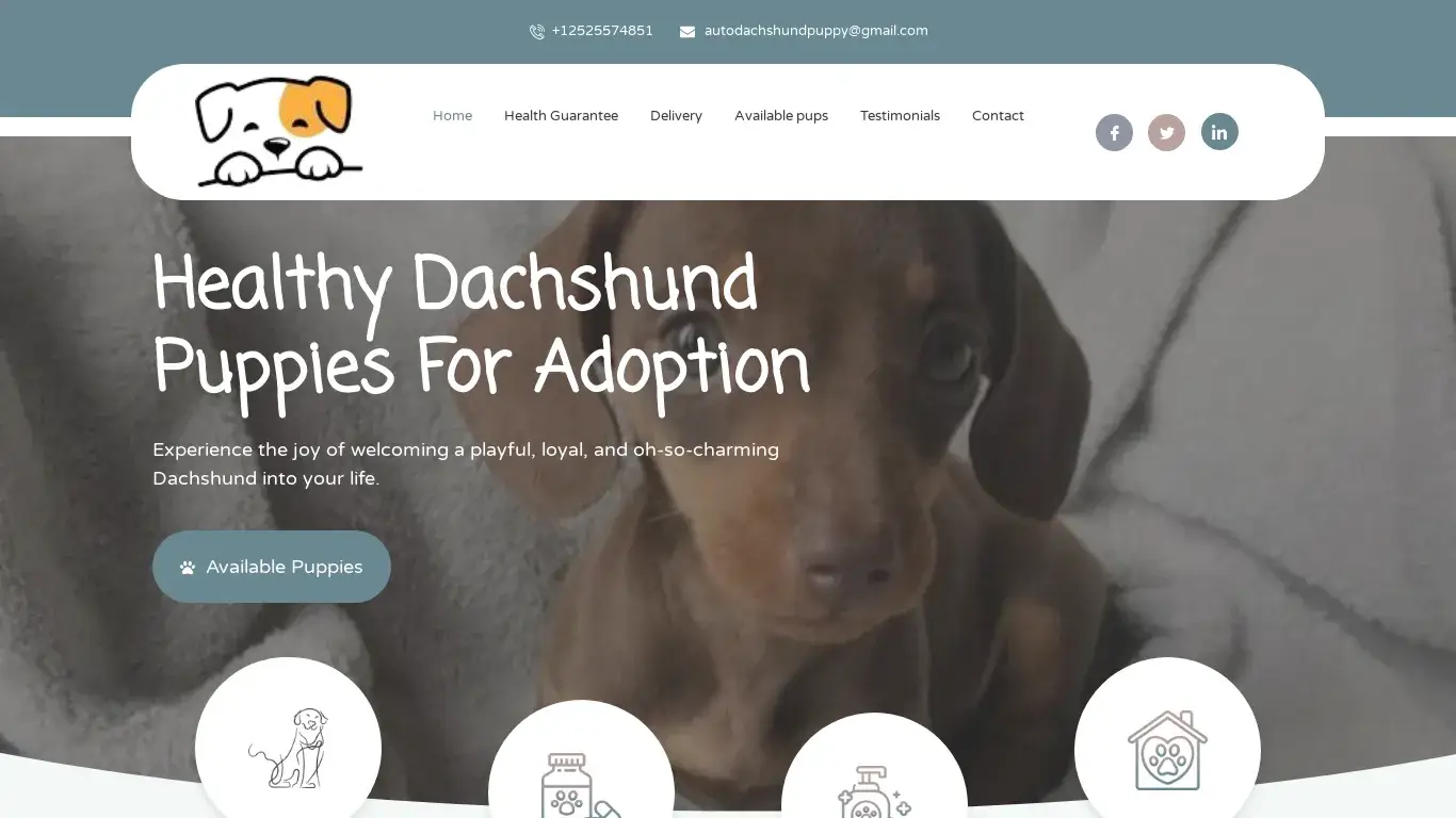 is Healthy Dachshund Puppies legit? screenshot
