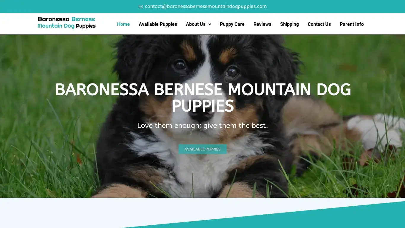 is Baronessa Bernese Mountain Dog Puppies – Baronessa Bernese Mountain Dog Puppies legit? screenshot