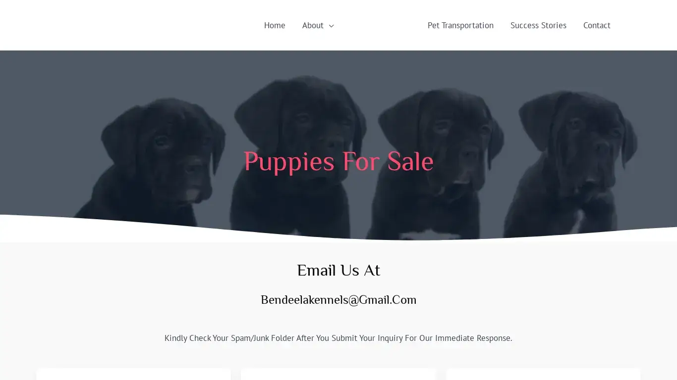 is Bendeela Cane Corso Kennel – Cane Corso Puppies For Sale legit? screenshot