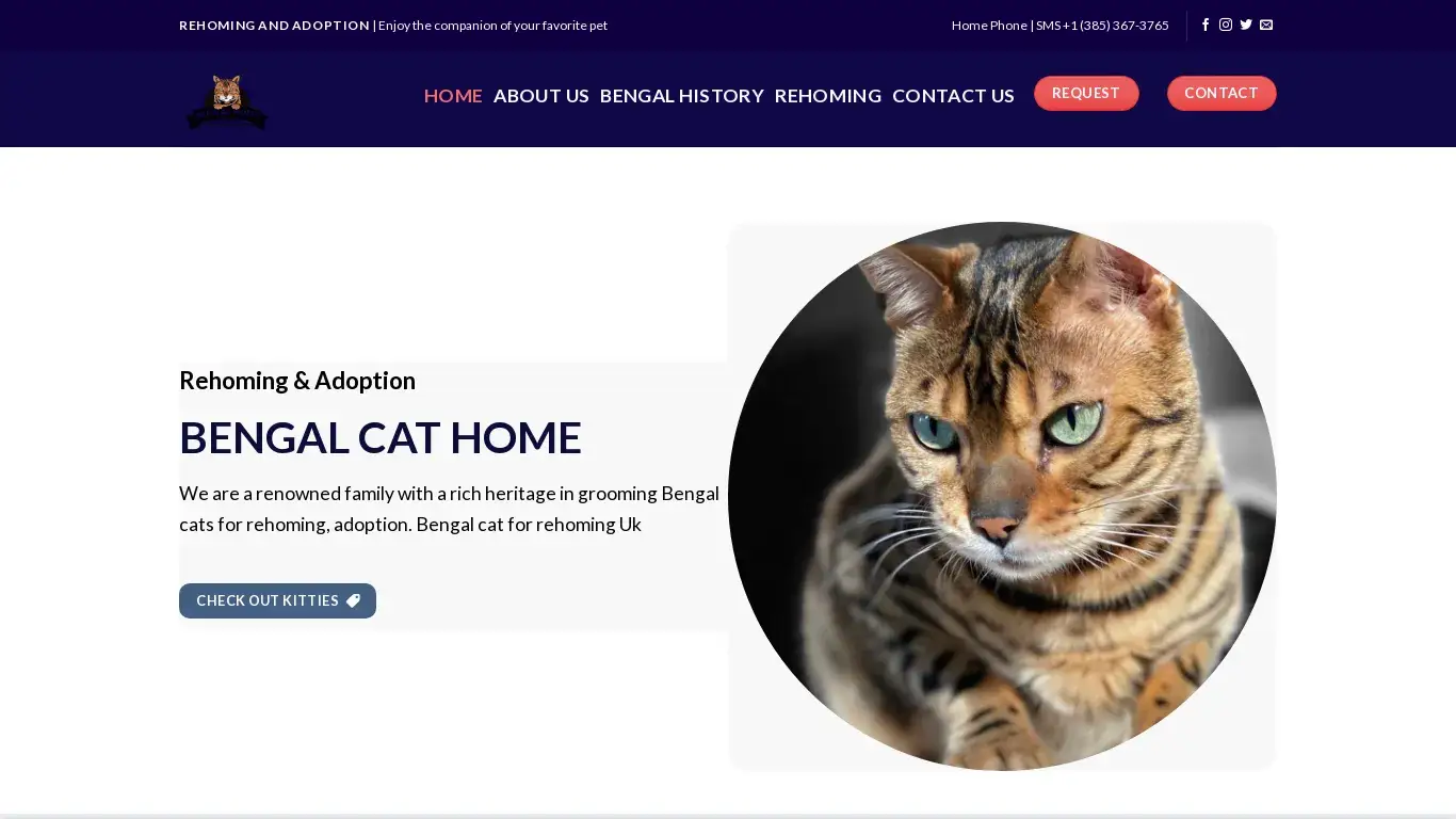 is bengal cat for rehoming Uk - Home Bengal Cat Online legit? screenshot