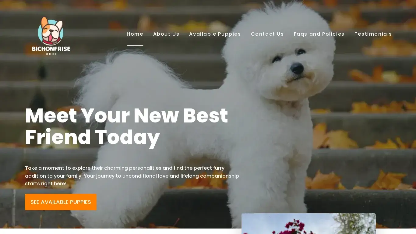 is bichonfrise-home – Find the most Beautiful bichon frise puppies for your home today. legit? screenshot