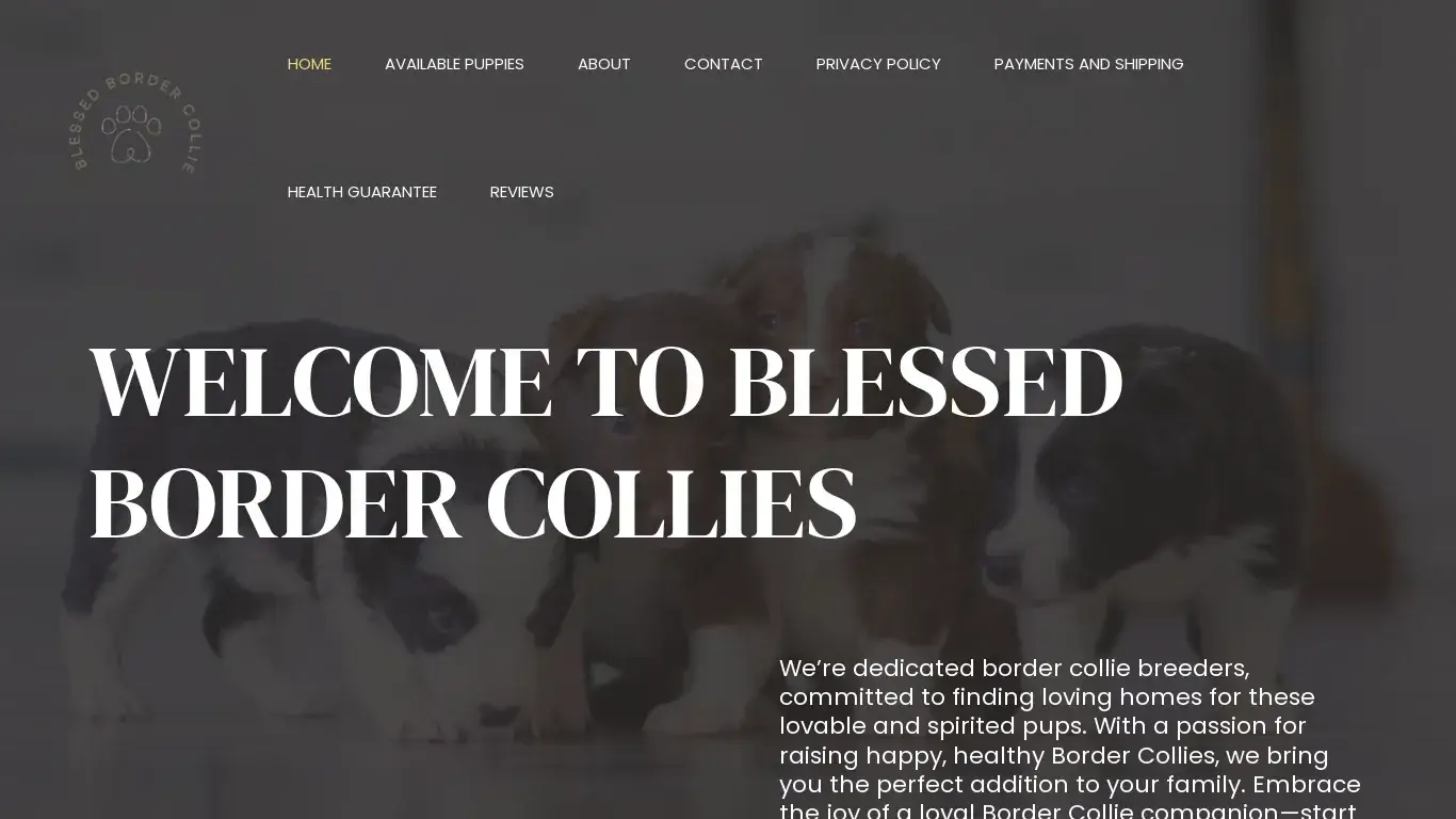is Blessed Border Collies – Blessed Border Collies legit? screenshot