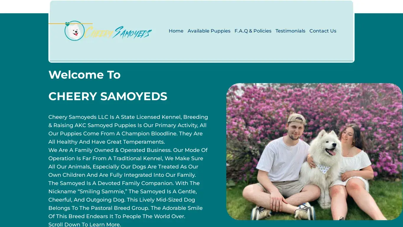 is Cheery Samoyeds – Registered Samoyed Puppies legit? screenshot