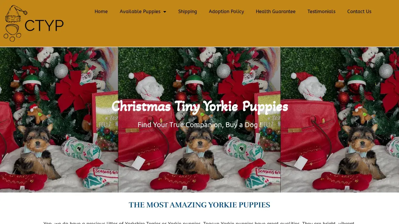 is Christmas Tiny Yorkie Puppies – Teacup Puppies for Sale legit? screenshot