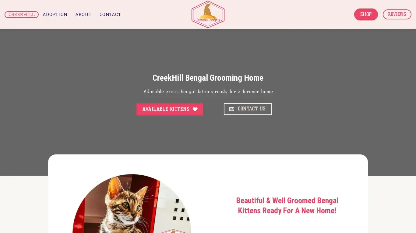 is Adorable Bengals Ready For A New Home - CreekHill Bengals legit? screenshot