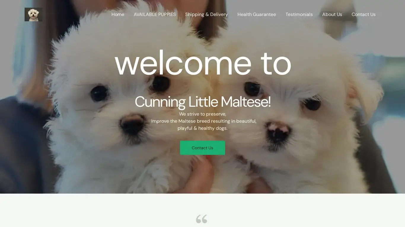 is Cunning Little Maltese legit? screenshot