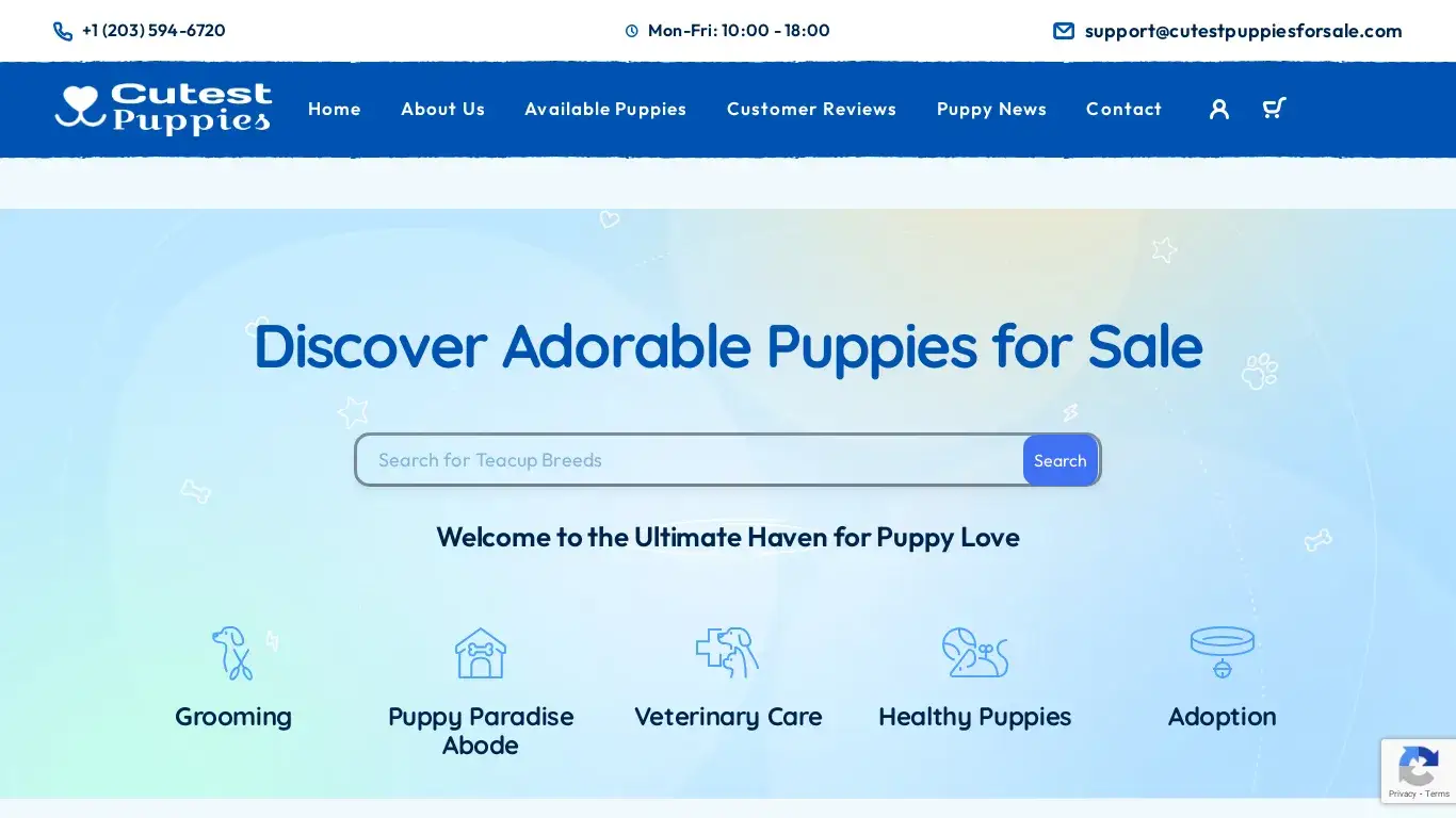 is chihuaua puppies for sale near me legit? screenshot