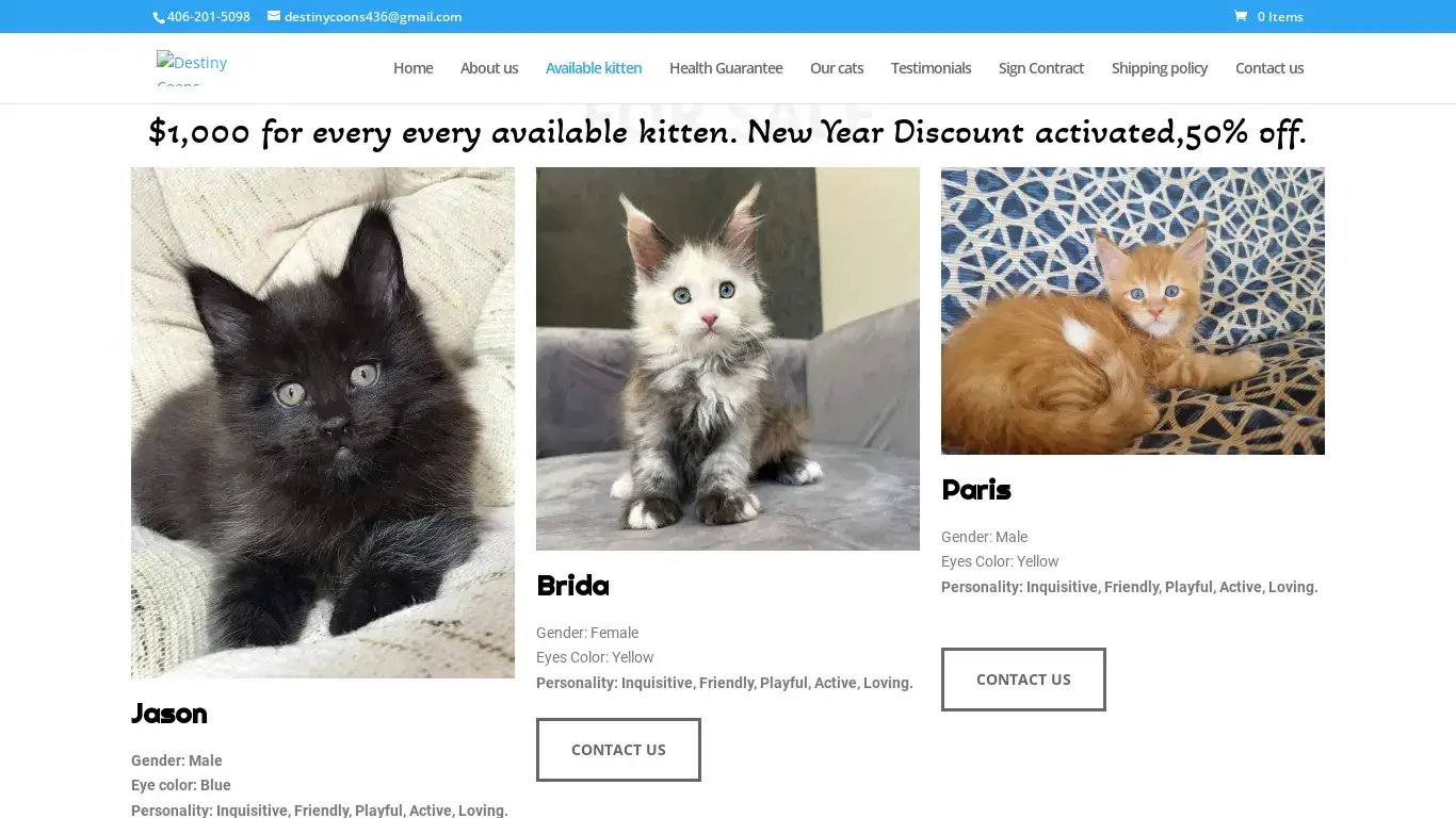 is Available maine coon kitten - Destiny Coons legit? screenshot