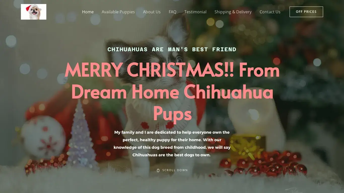 is Dream Home Chihuahua Pups legit? screenshot