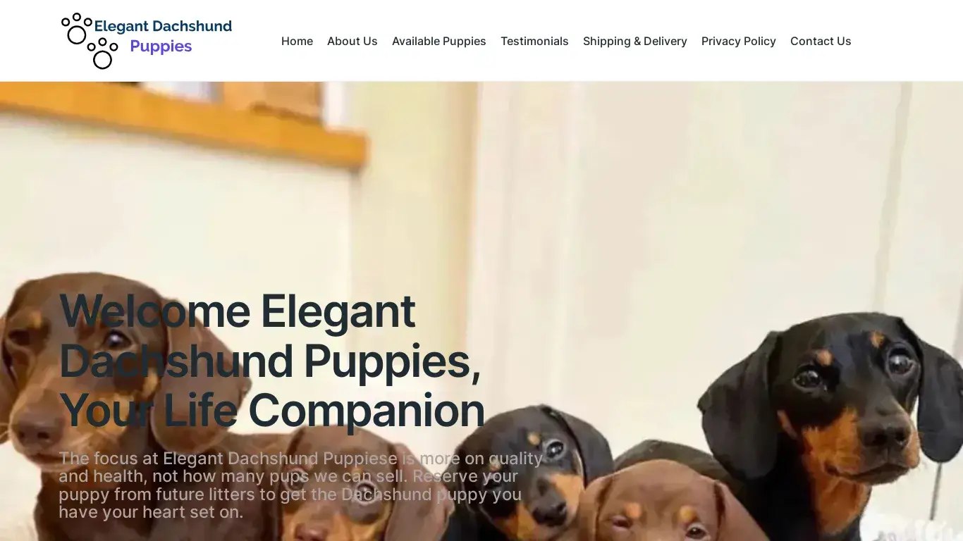is Elegant Dachshund Puppies legit? screenshot
