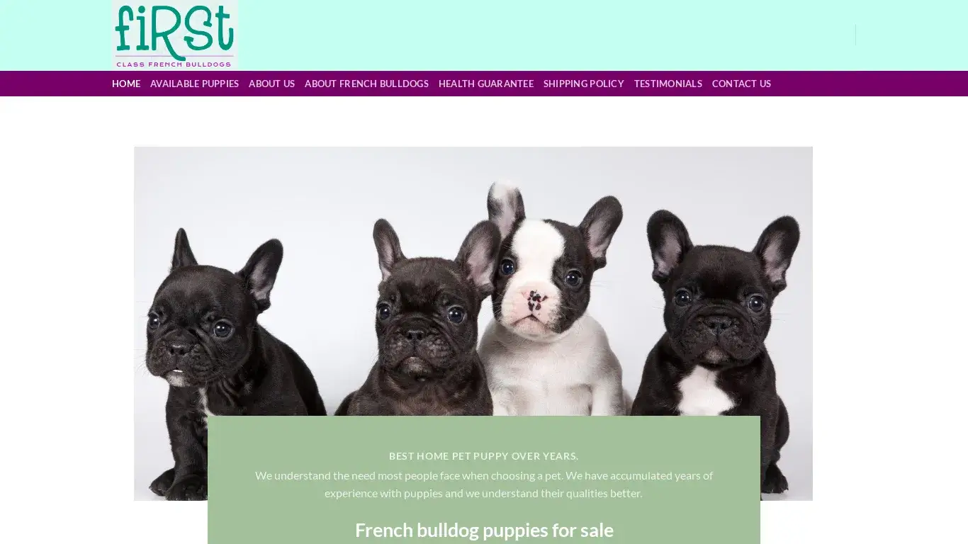 is First Class French Bulldogs – french bulldog for sale|french bulldog puppies for sale-curling bullies| legit? screenshot