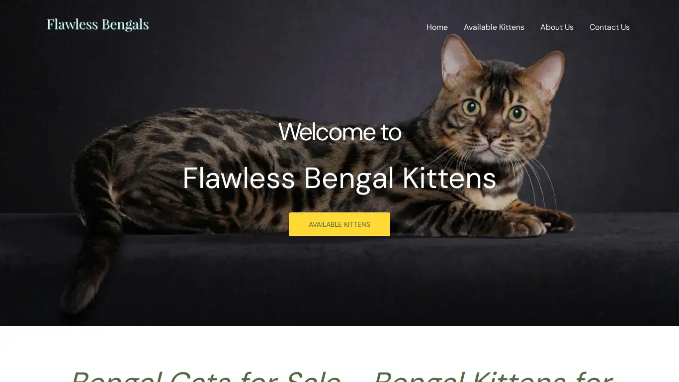 is Bengal Kittens for Sale - Bengal Breeder | Flawless Bengals legit? screenshot
