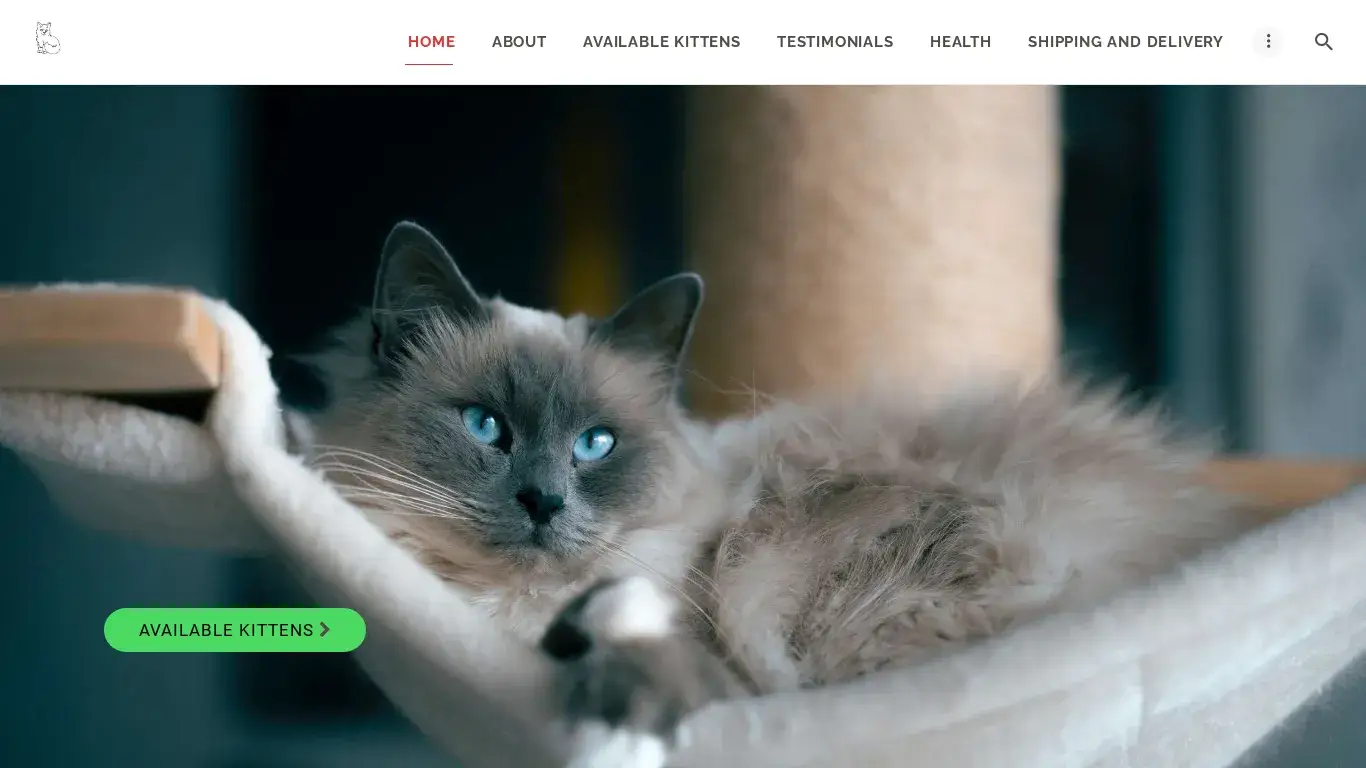is Fluffy Ragdoll Kitties – Ragdoll Kittens for sale legit? screenshot