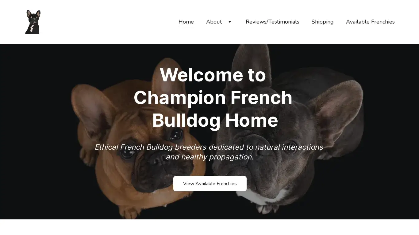 is Responsible French Bulldog Breeders in Brisbane | French Bulldog Puppies for sale in Brisbane | Champion French Bulldog Home | Champion French Bulldog Home legit? screenshot