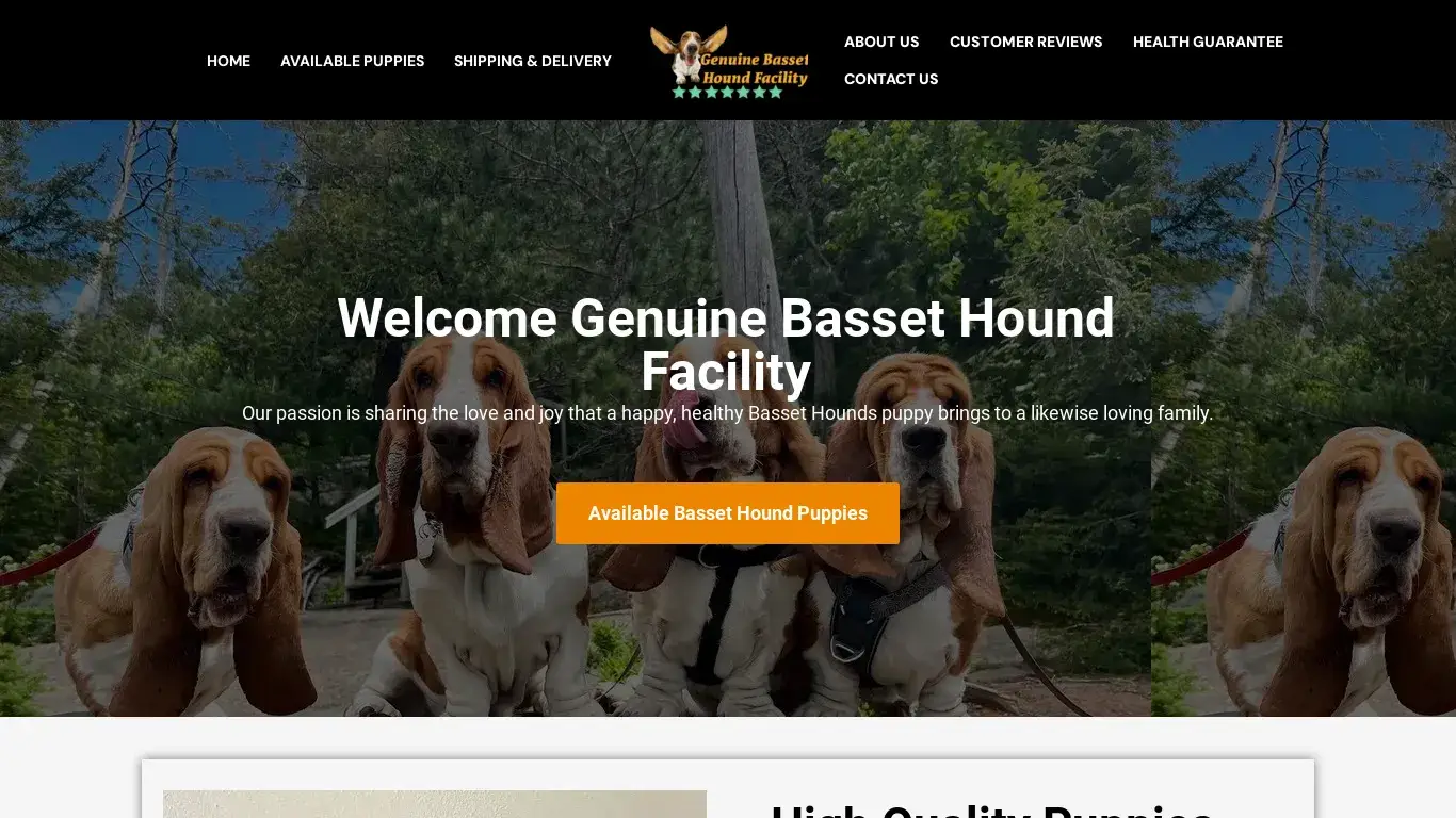 is Genuine Basset Hound Facility – Basset Hound Puppies legit? screenshot