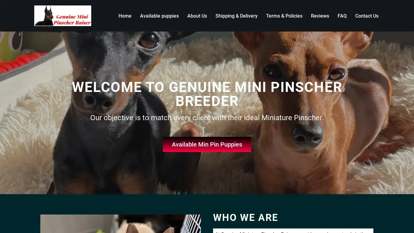 is Genuine Miniature Pinscher Breeder – Min Pin Puppies For Sale legit? screenshot