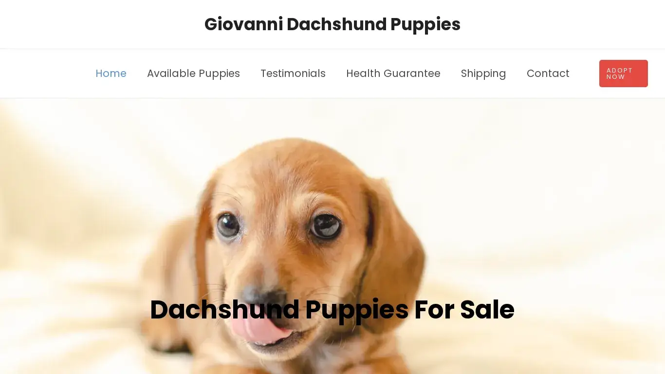 is Giovanni Dachshund Puppies – Dachshund Puppies For Sale legit? screenshot