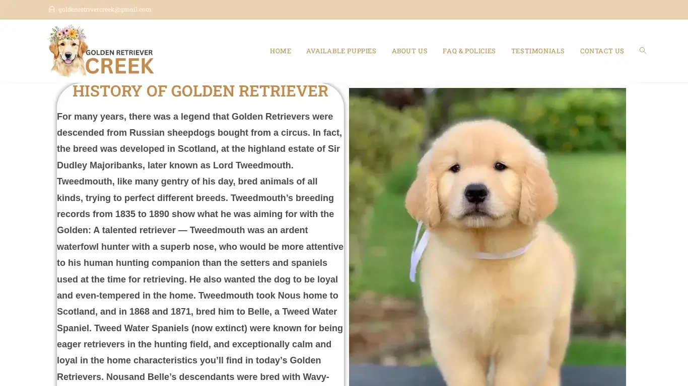 is Golden Retriever Creek – Licensed Golden Retriever Breeders legit? screenshot