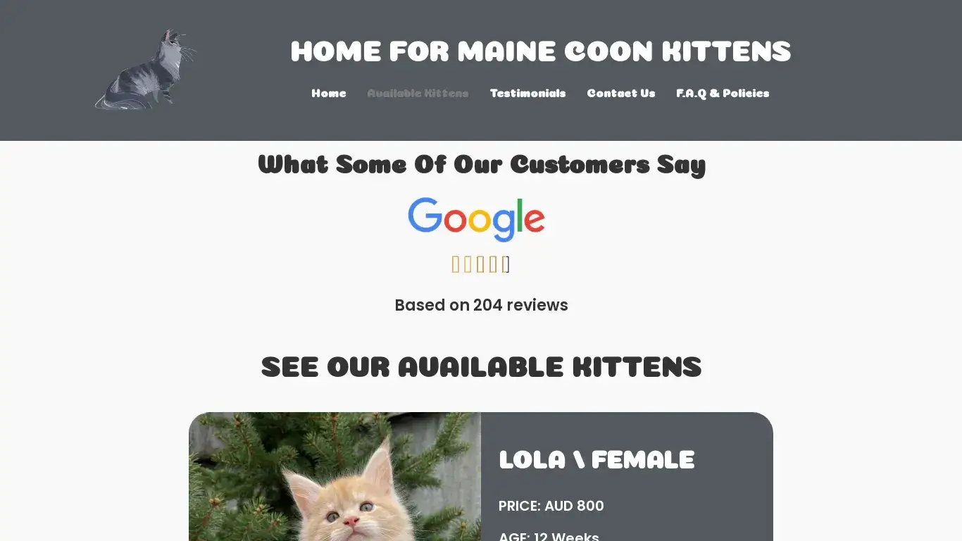 is Home For Mainecoon Kittens legit? screenshot