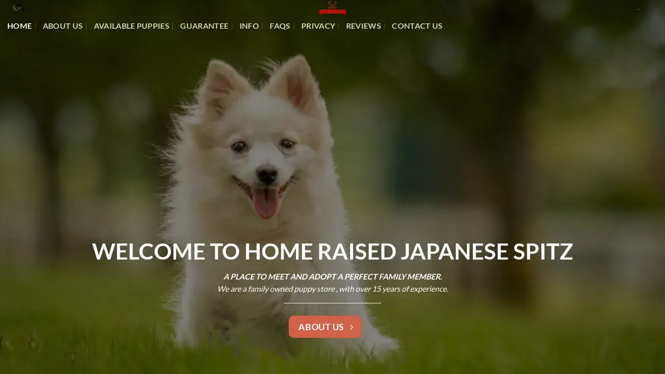 is HOME RAISED JAPANESE SPITZ – buy potty trained Japanese Spitz puppies legit? screenshot