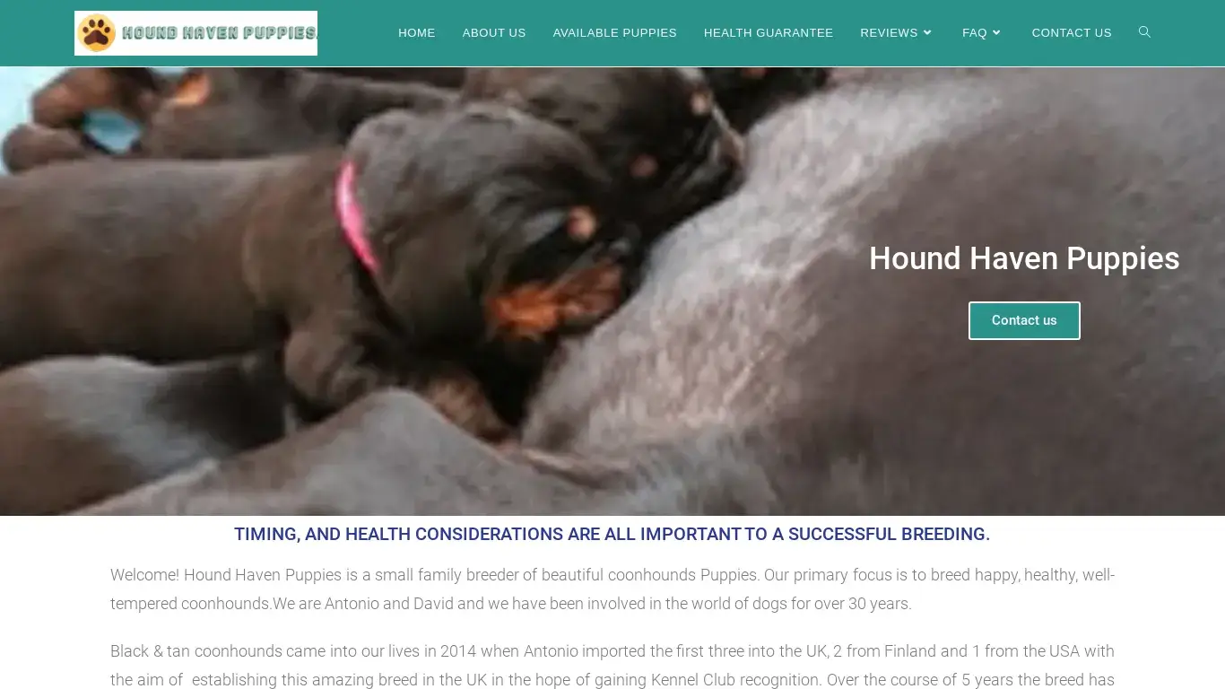 is Hound Haven Puppies – Hound Haven Puppies legit? screenshot