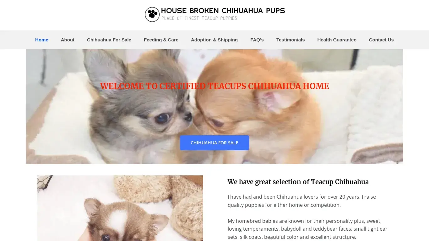 is Housebroken Chihuahua Puppy Home – Buy A Chihuahua Puppy With Temperament and Structure legit? screenshot