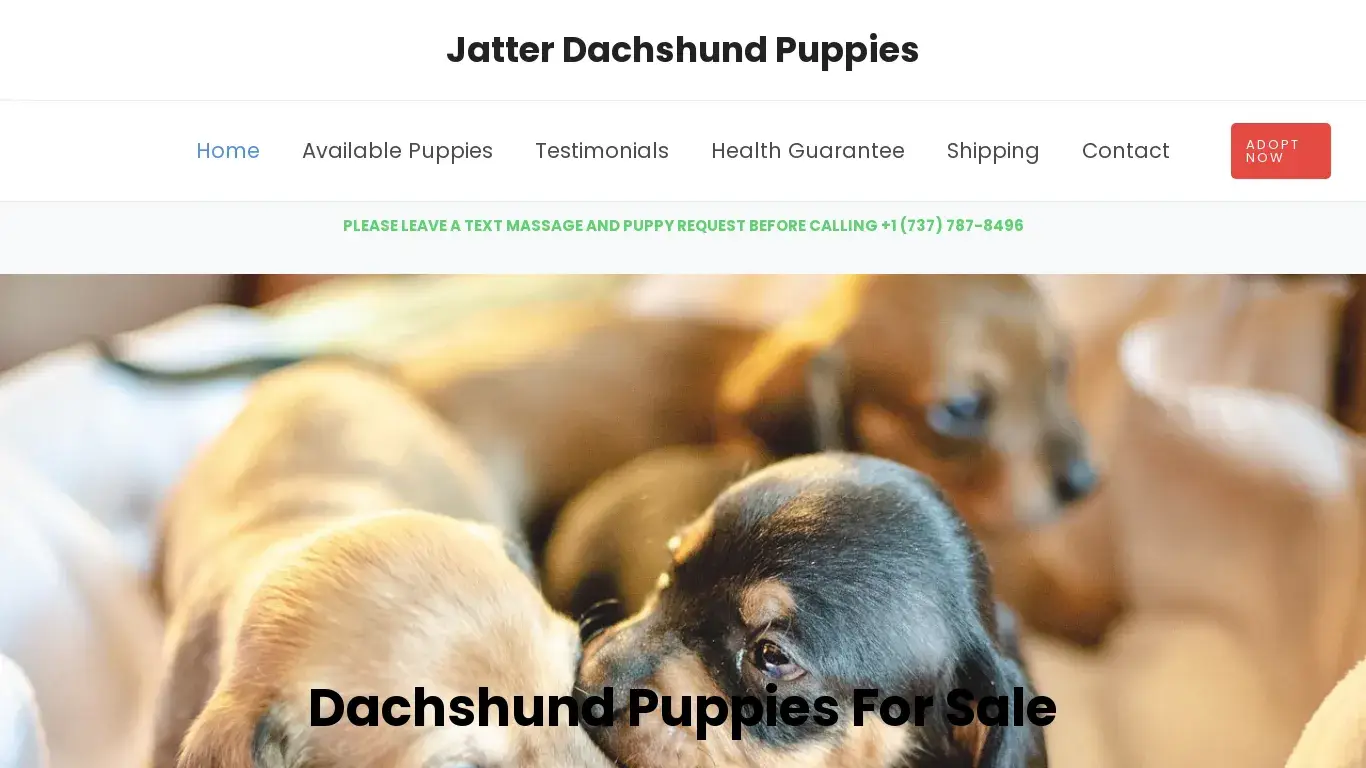 is Jatter Dachshund Puppies – Dachshund Puppies For Sale legit? screenshot