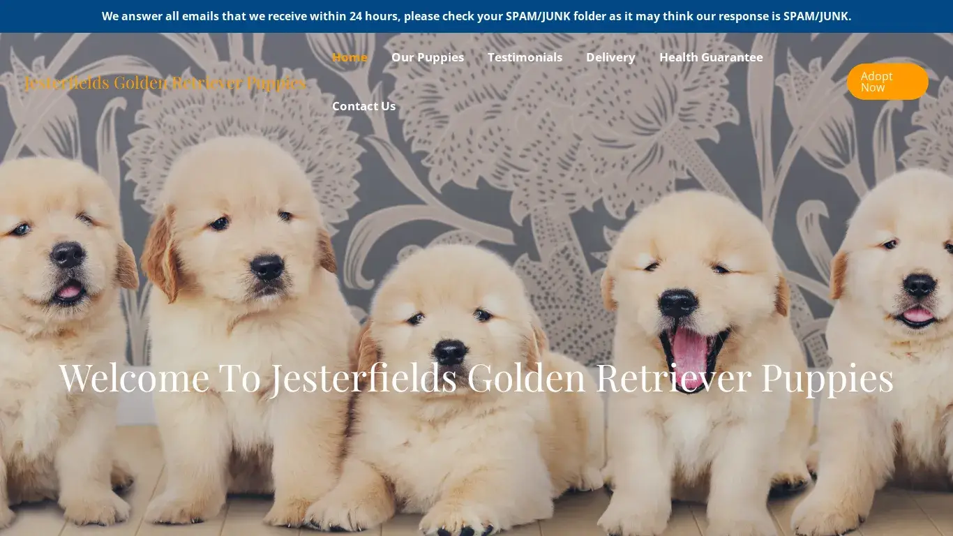 is Jesterfields Golden Retriever Puppies – Purebred Golden Retrievers For Sale legit? screenshot