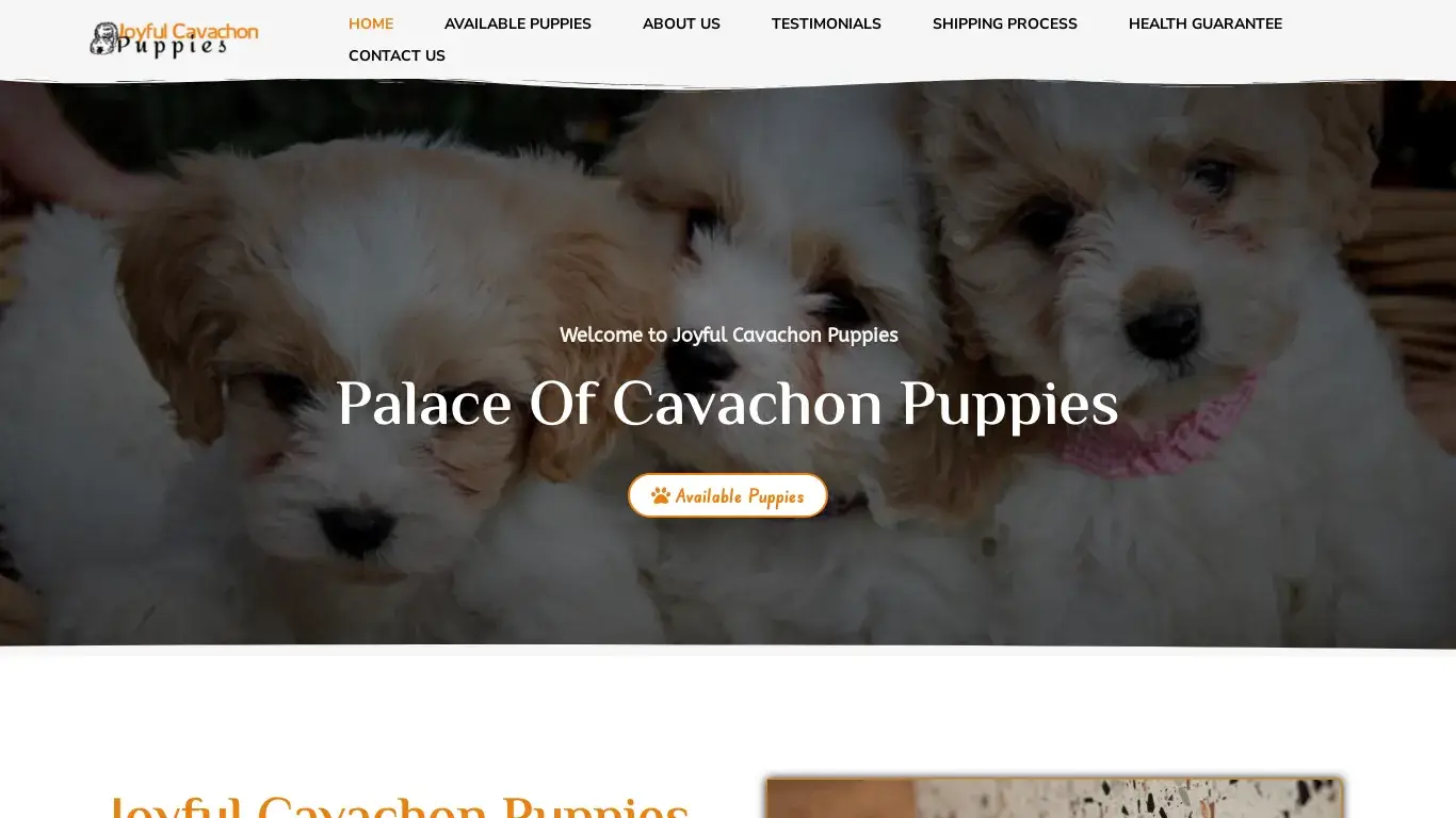is Home - Joyful Cavachon Puppies legit? screenshot