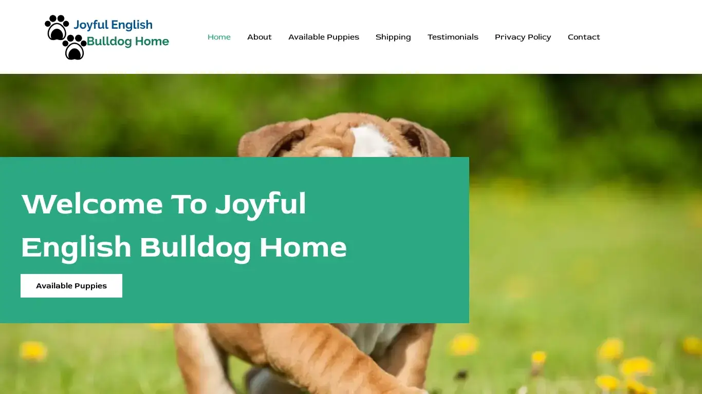 is Joyful English Bulldog Home legit? screenshot