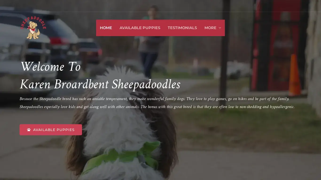 is Sheepadoodle For Sell – Friendly and playful dogs that pass on plenty of their good traits. legit? screenshot