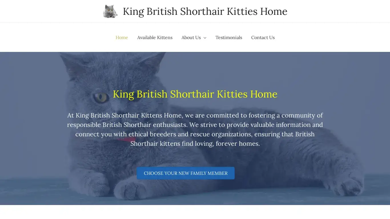 is King British Shorthair Kitties Home – Discover British Shorthair Majesty Your Perfect Kitten Awaits! legit? screenshot