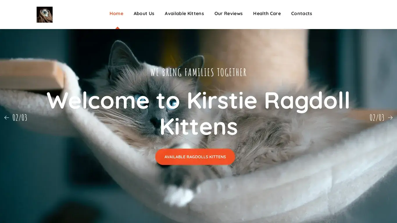 is Kirstie Ragdoll Kittens – Ragdoll Kittens For Sale legit? screenshot