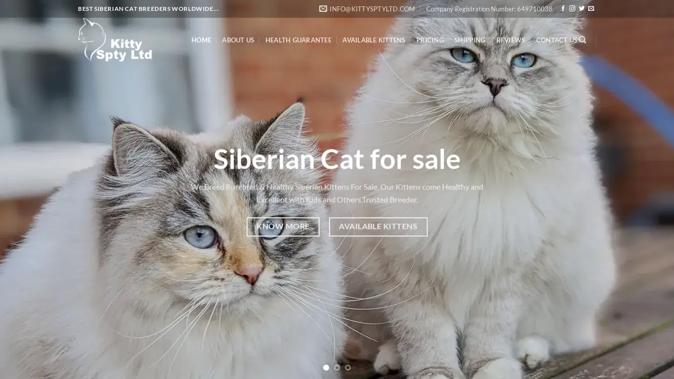 is Kittens for Sale | Buy Kittens Online | Order Kittens Online – Best Kitten Home Companion legit? screenshot