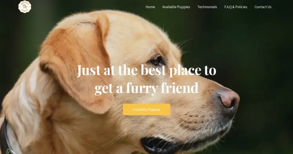 Is Labradordynasty.com legit?