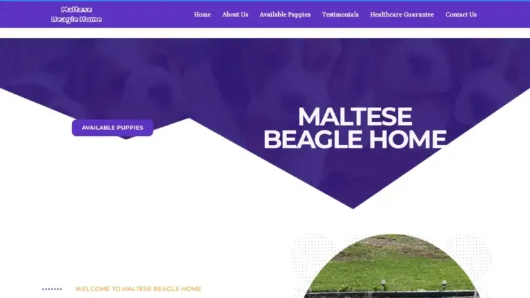 Maltesebeaglehome.com