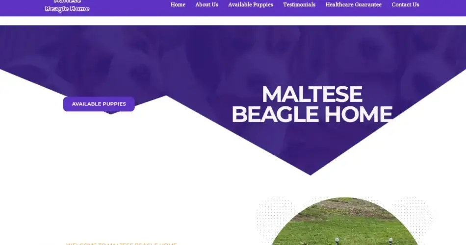 Is Maltesebeaglehome.com legit?
