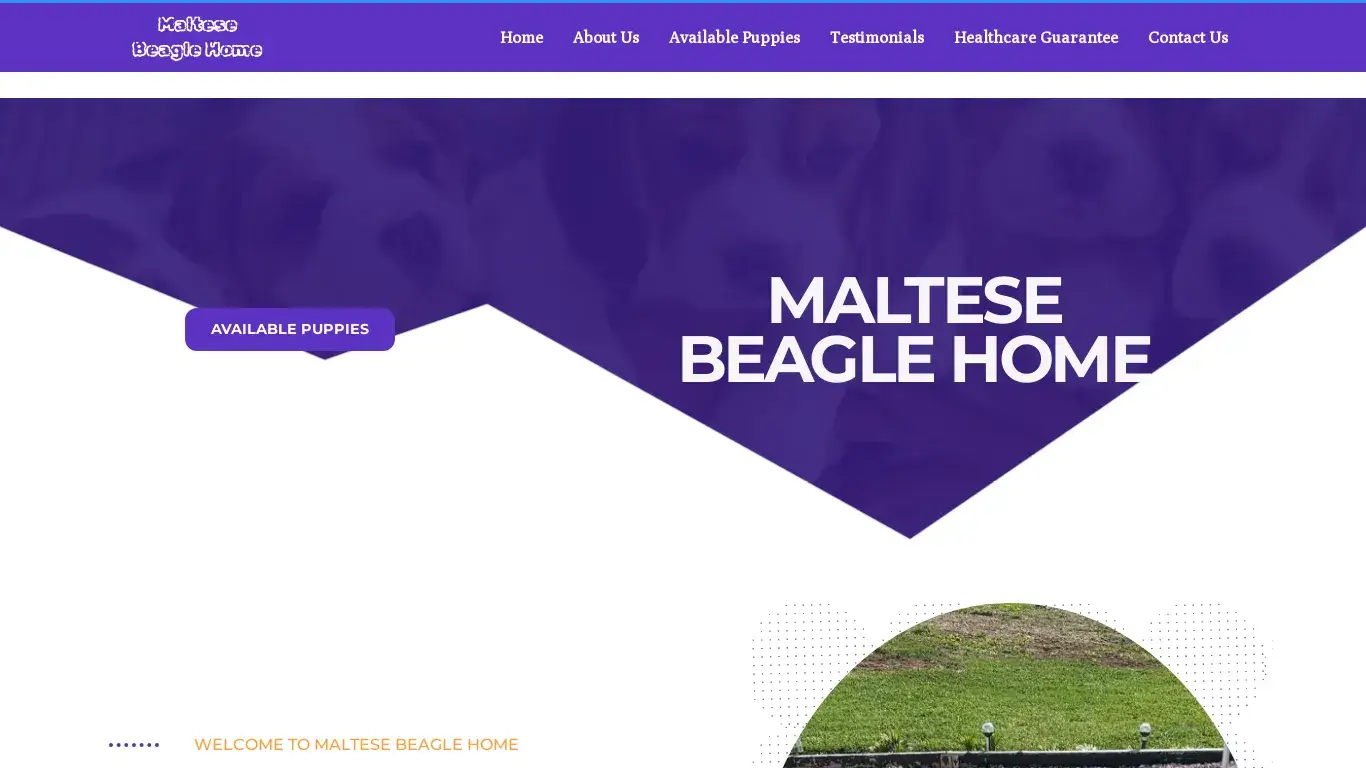 is maltese beagle legit? screenshot